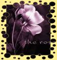 jardin1