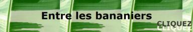 http://foye.e-monsite.com/accueil.html